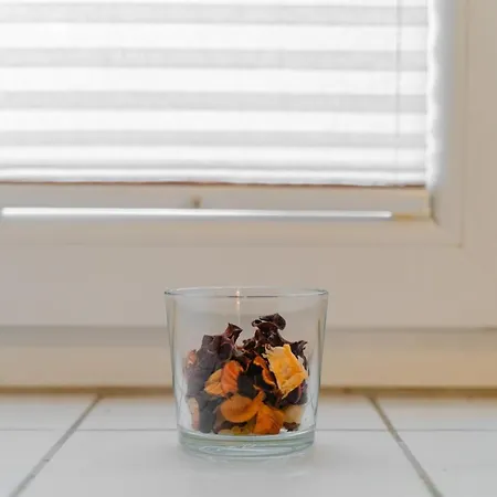 Daire Dominika Ljubljana